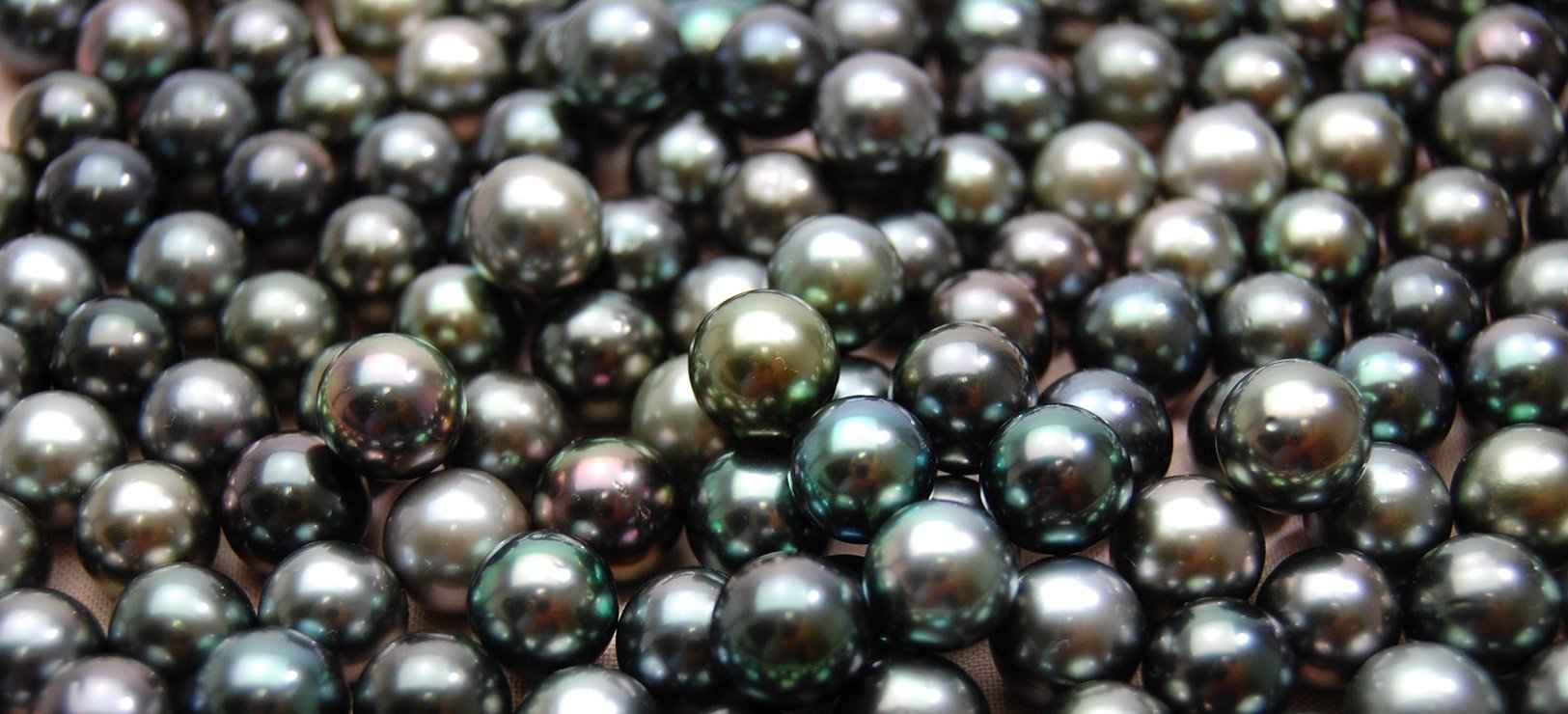 perle noire de polynesie