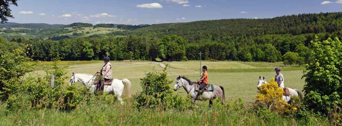 tourisme equestre