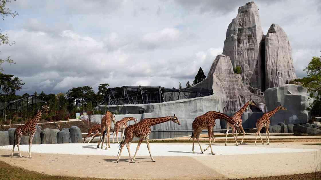 zoo de vincennes