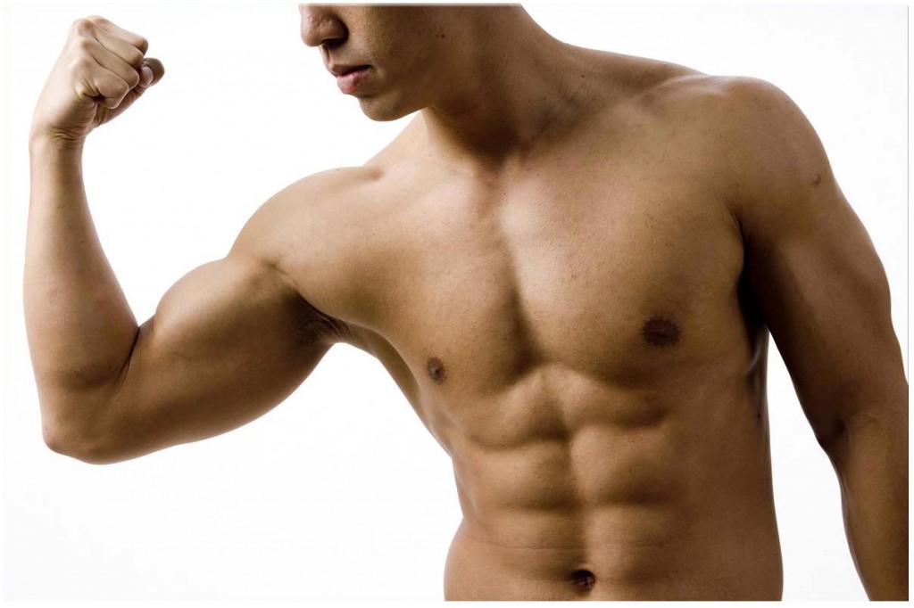 Abdos et Muscles