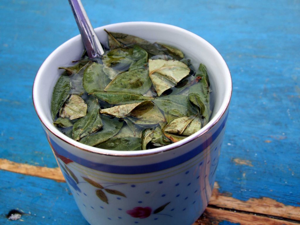 Mate de Coca - Argentine