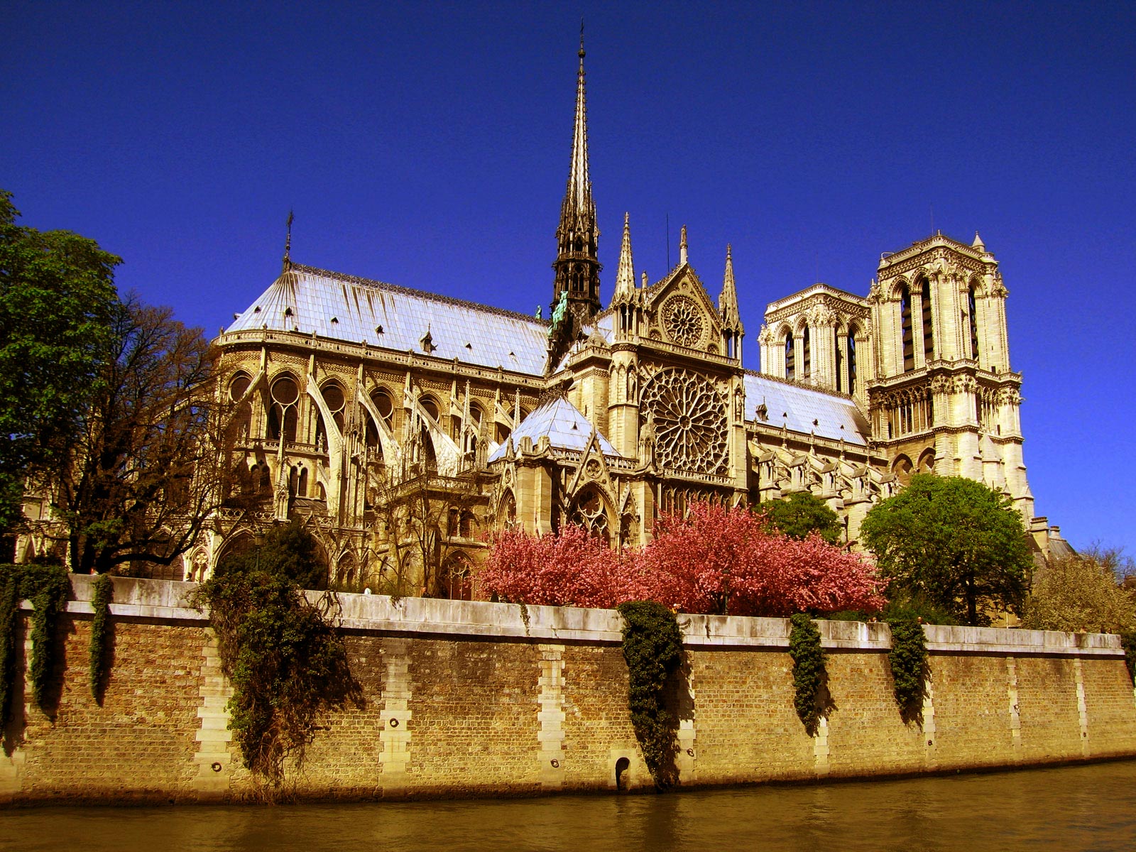 Notre dame de paris сюжет