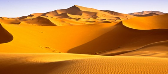 Sahara - Photo Dune