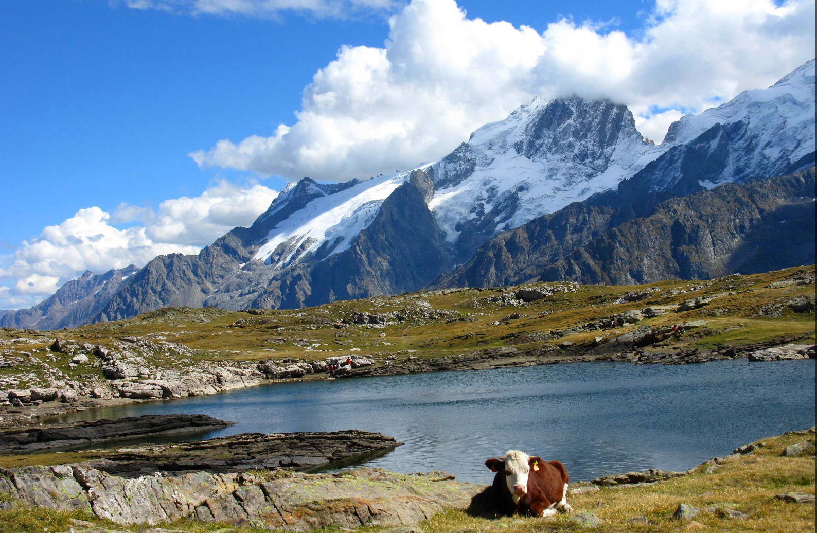 Les Alpes françaises » Vacances - Arts- Guides Voyages