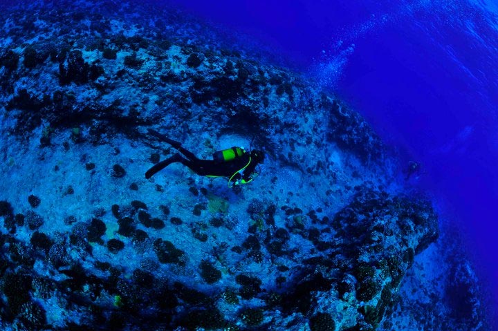 Plongée à Fakarava - Atoll Polynésien