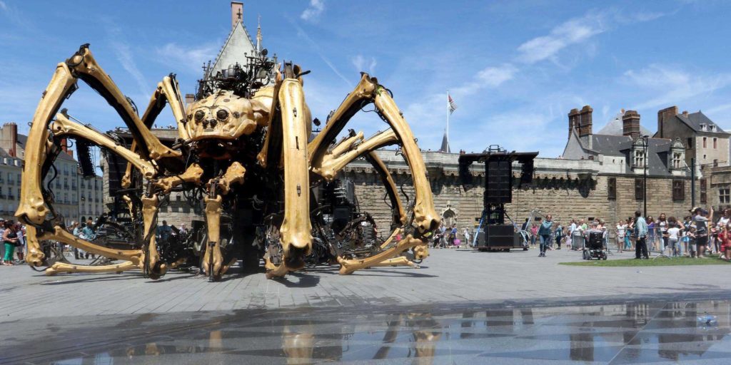 Araignée de kumo à Nantes