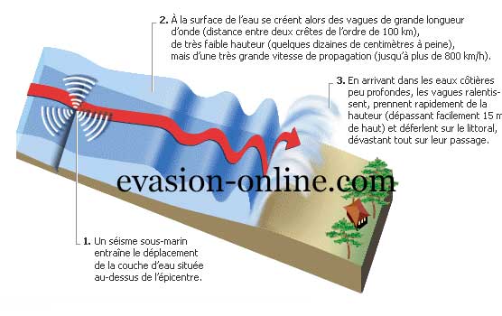 formation-tsunami