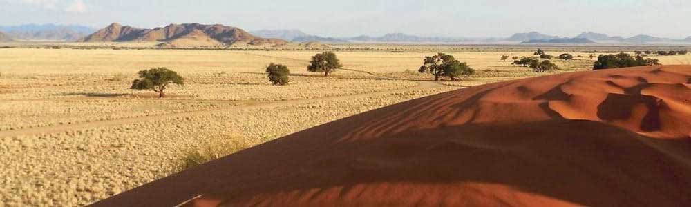 Namibie - Paysage du désert de Namib