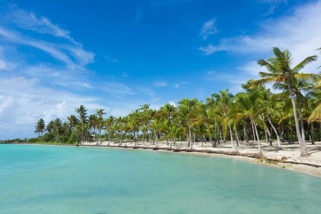Circuit - Guadeloupe