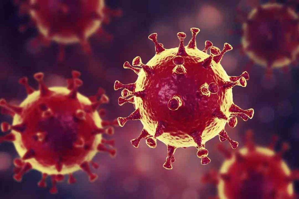 Coronavirus - COVID-19