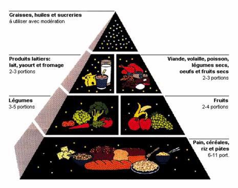 Equilibre et régime alimentaire