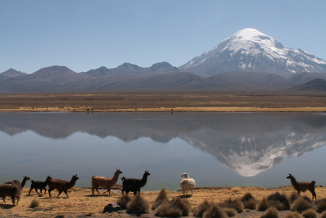 voyage bolivie - lac titicaca