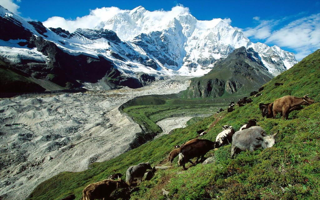 Tibet Paysage