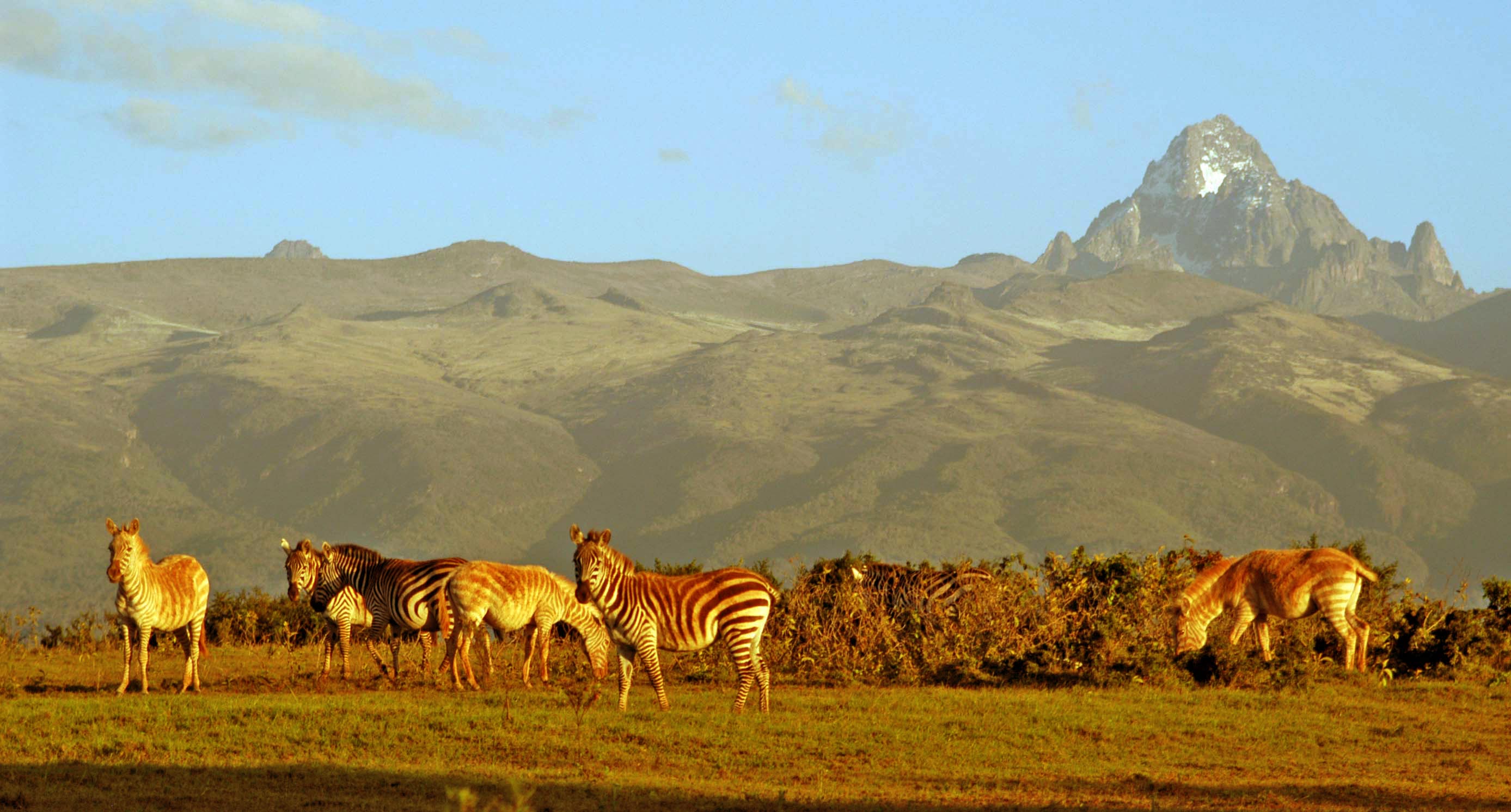 voyage safari photo au kenya