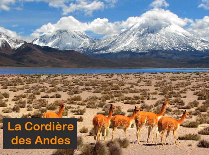 Paysage de Bolivie - La Cordière des Andes