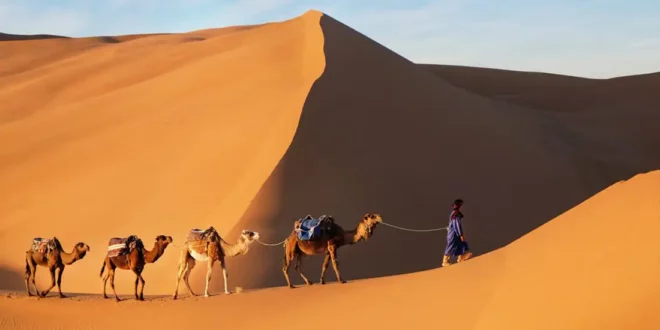 Désert du Sahara marocain