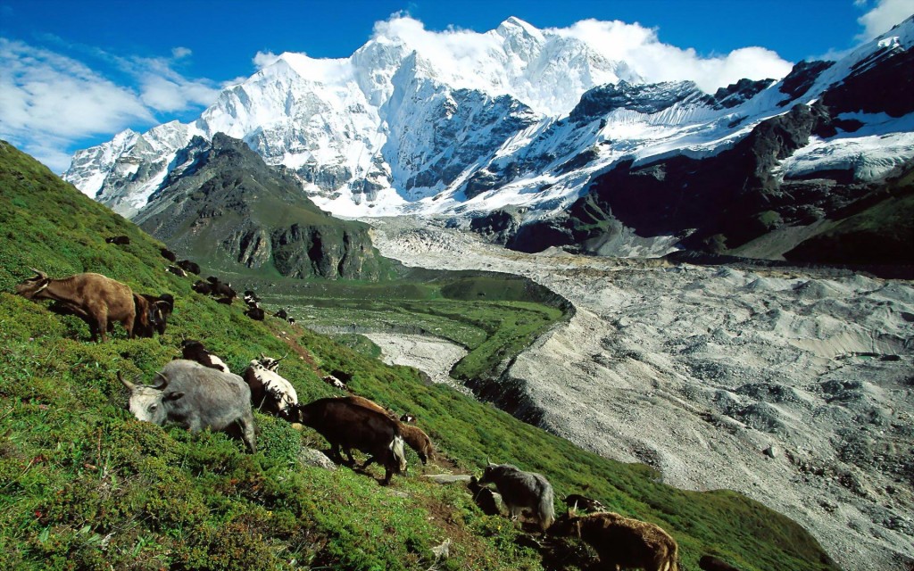 le Tibet vue panoramique