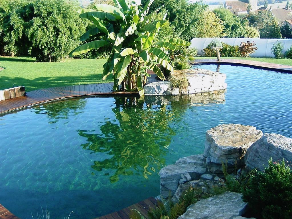 piscine jardin naturelle