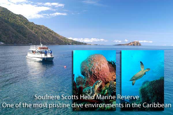 Scott's Head Marine Reserve