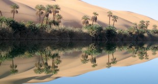 Libye - Paysage du Sahara