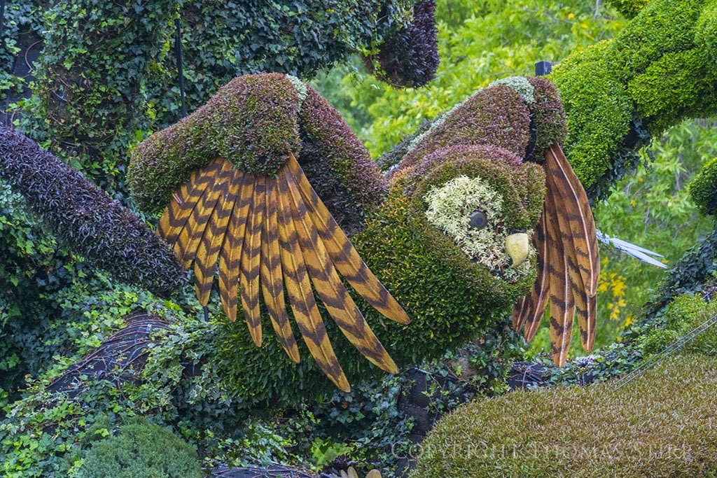 Oiseau - Mosaiculture