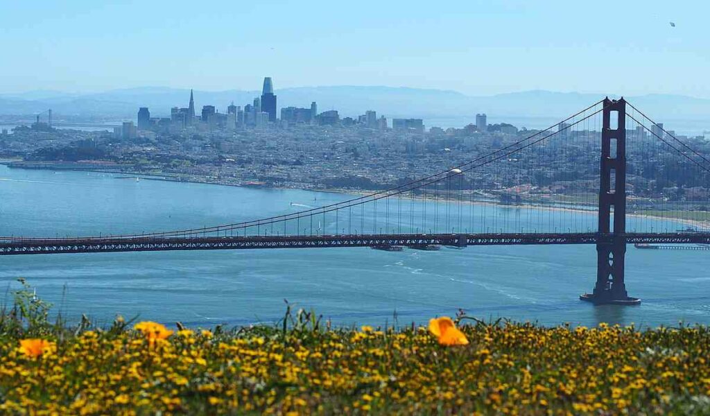Photo du pont de San Francisco