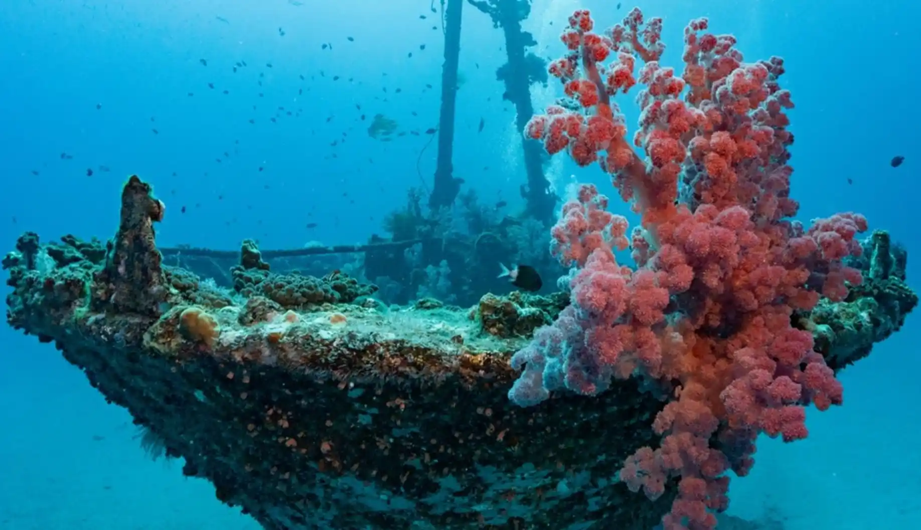 Anchor Reef - Site de plongée