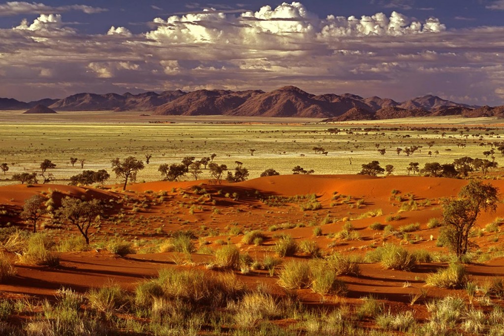 Paysage de Namibie - Photo