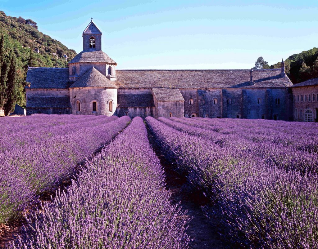 jardin de la Provence