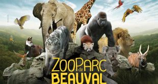 Zoo de Beauval