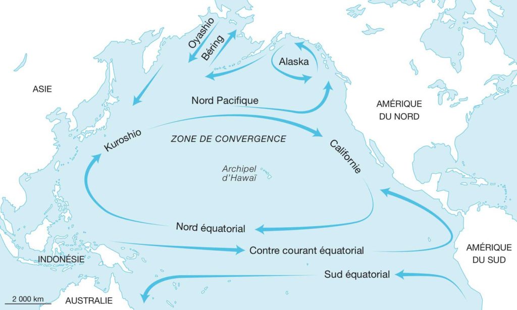 Les courants du Pacifique nord