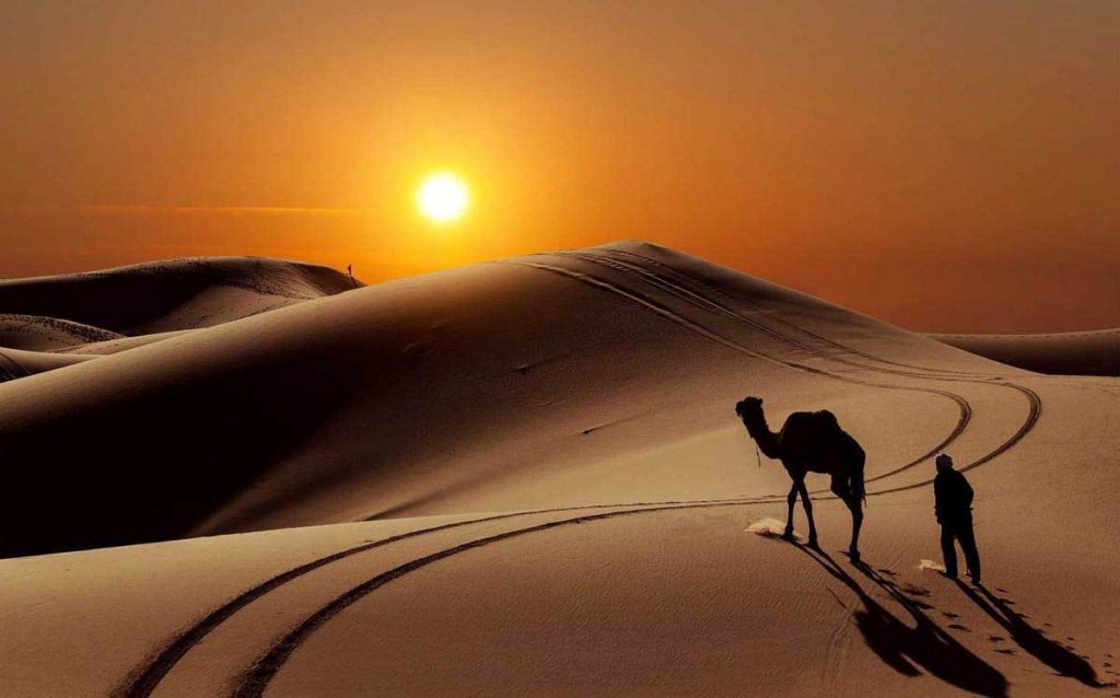 Les Touareg du Sahara