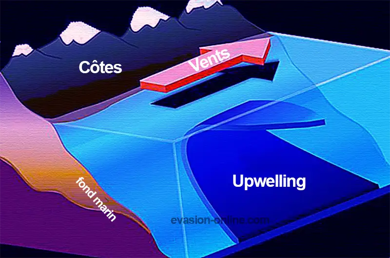 Upwelling phénomène - Illustration