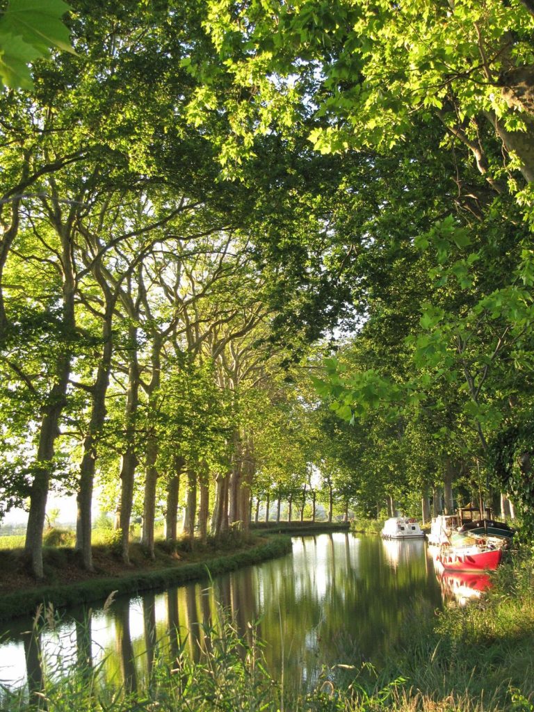 Canal du midi - photo