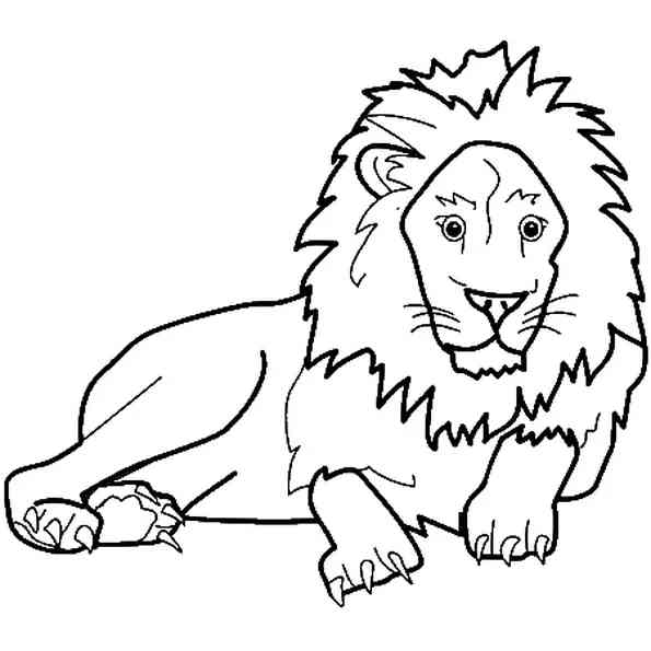 Coloriage animaux - Lion