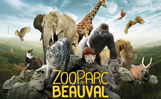 Zoo Beauval - Animaux