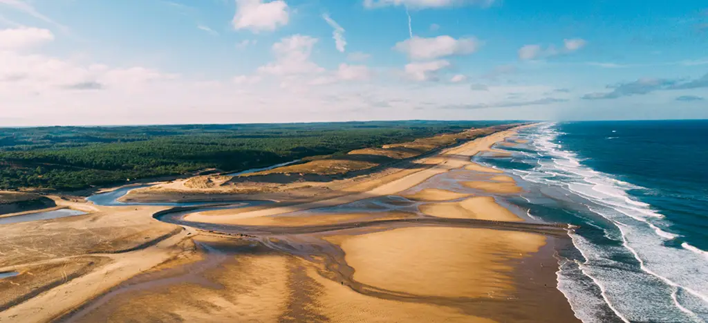 Landes - Paysage