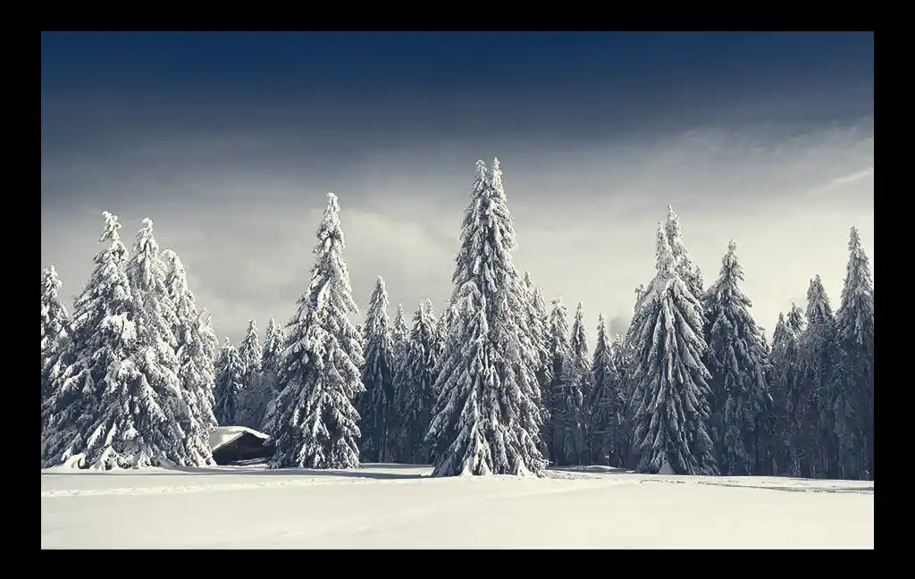 Laponie Finlandaise - Paysage de neige